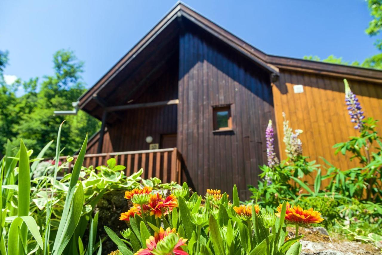 Chalets De La Wormsa Metzeral Dış mekan fotoğraf